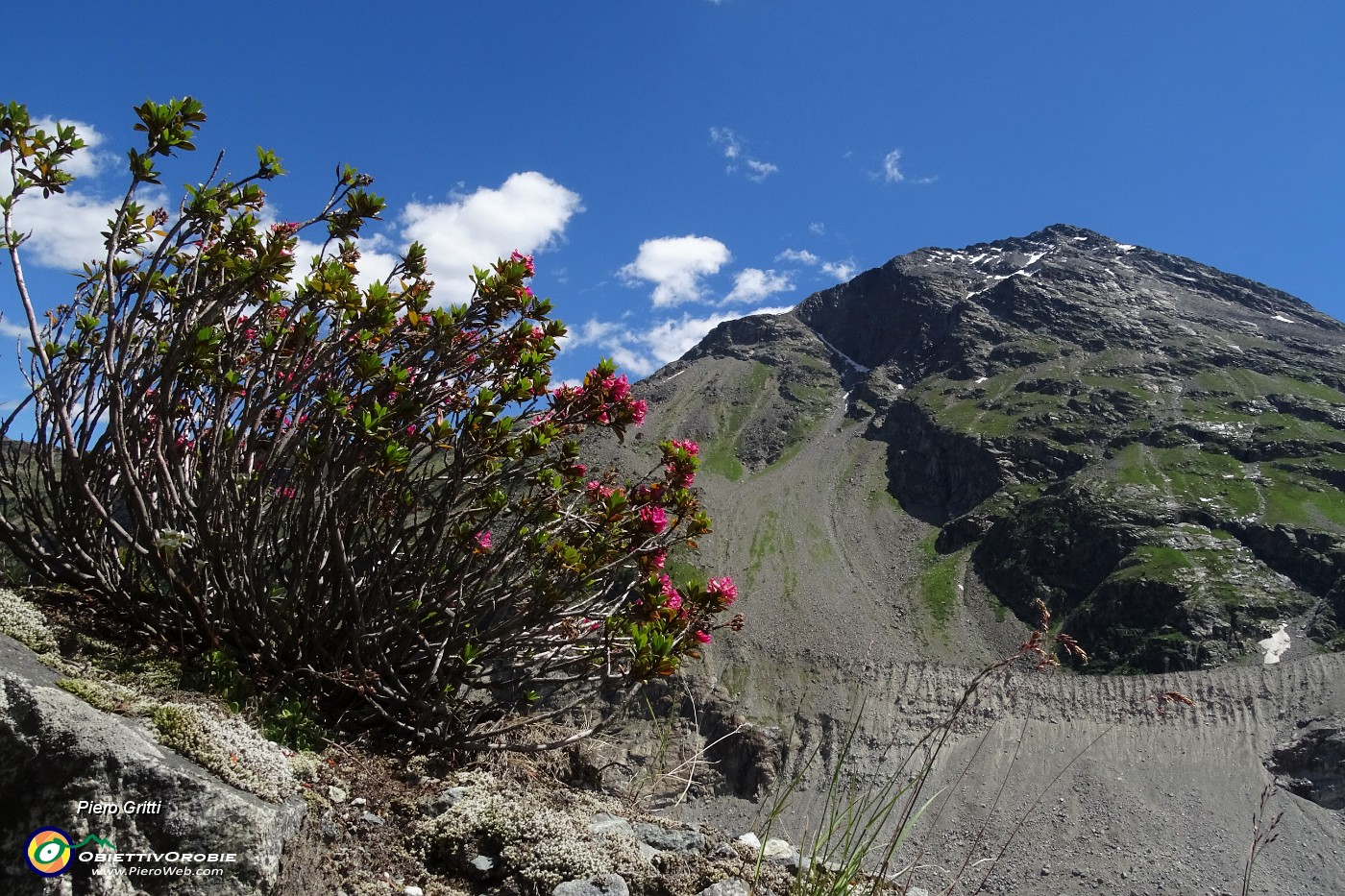 30 Rododendri con Munt Pers (3207 m).JPG